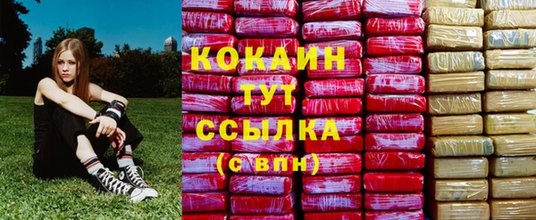 сатива Рославль