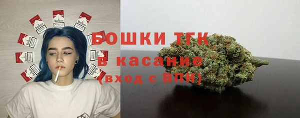 mdpv Богородск