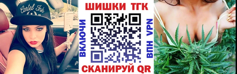 закладки  Шахунья  Бошки Шишки ГИДРОПОН 